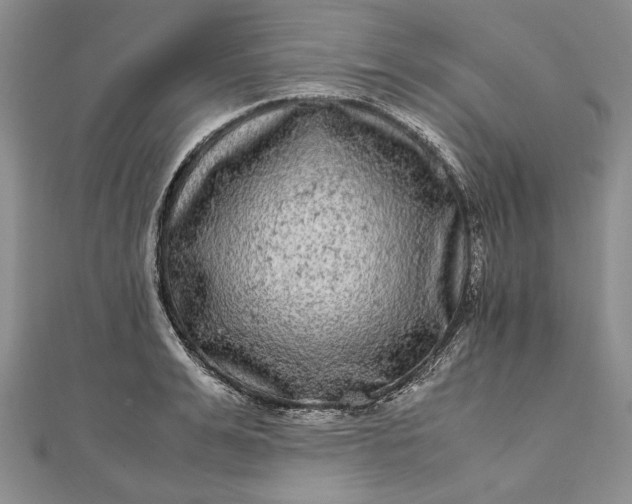 X0000111840991200908061250