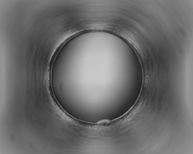 X0000111840992200908061250