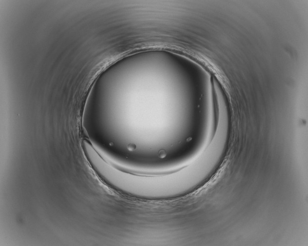 X0000111840993200908061250