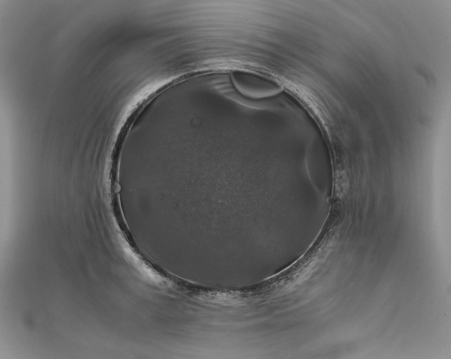 X0000111840995200908061250