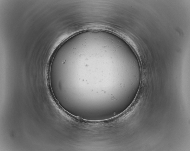 X0000111840997200908061250