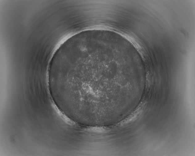 X0000111840998200908061250