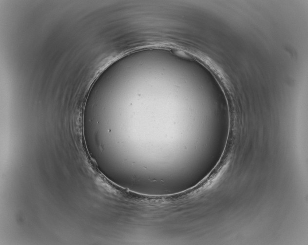 X0000111841001200908061250