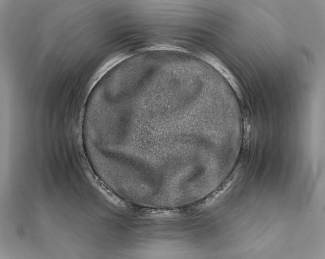 X0000111841002200908061250