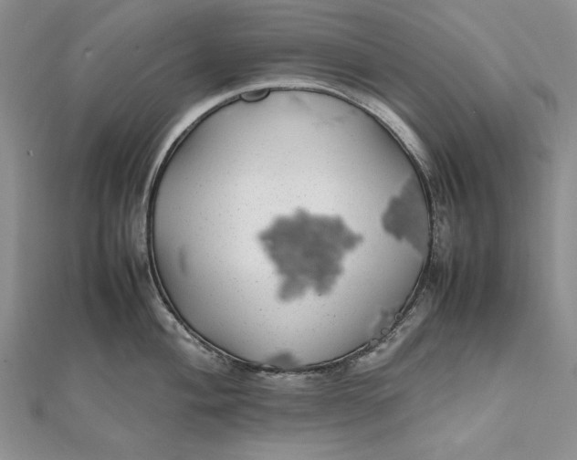 X0000111841004200908061250