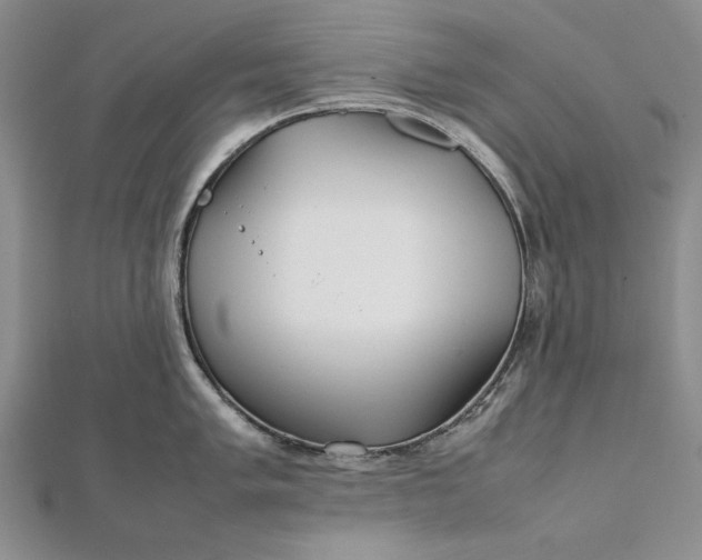 X0000111841005200908061250