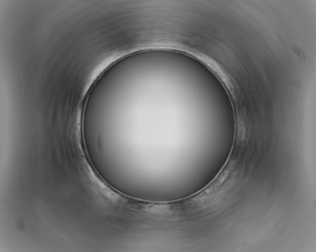 X0000111841006200908061250