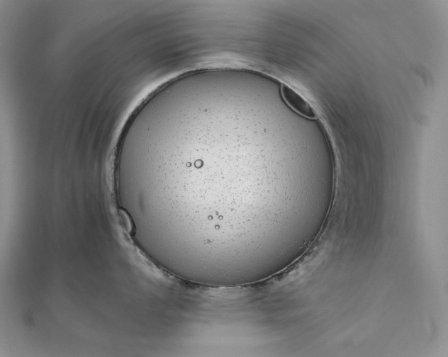 X0000111841008200908061250