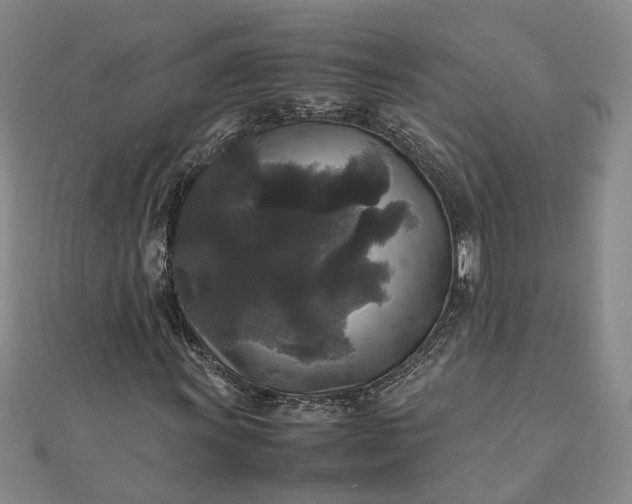 X0000111841011200908061249