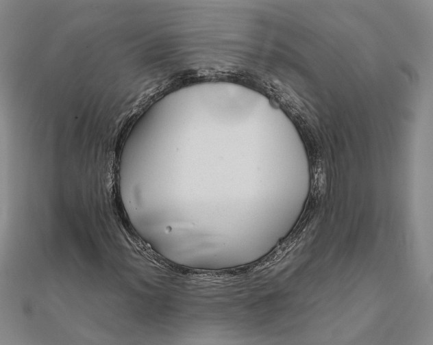 X0000111841012200908061249