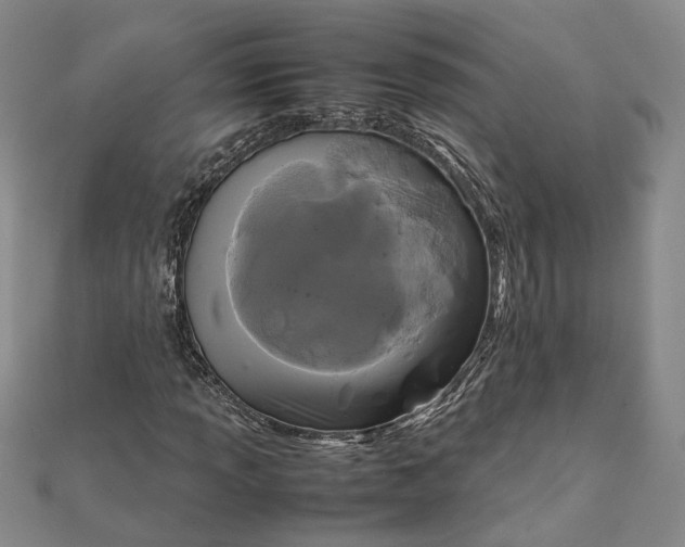 X0000111841013200908061249