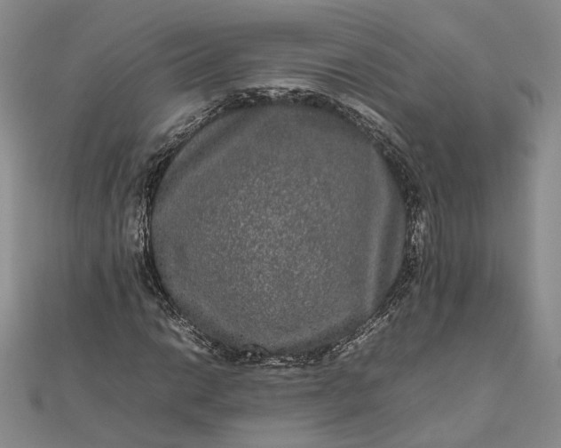 X0000111841014200908061249