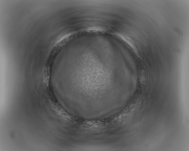 X0000111841015200908061249