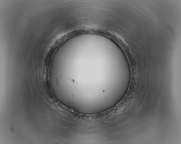 X0000111841016200908061249