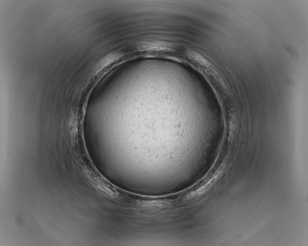 X0000111841017200908061249