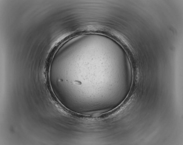 X0000111841018200908061249