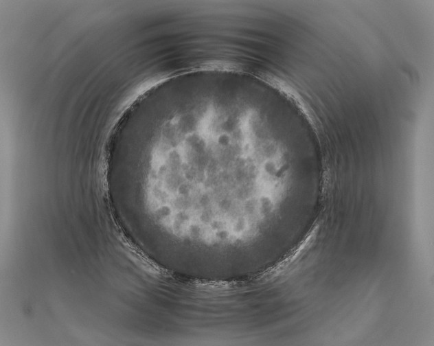 X0000111841019200908061249