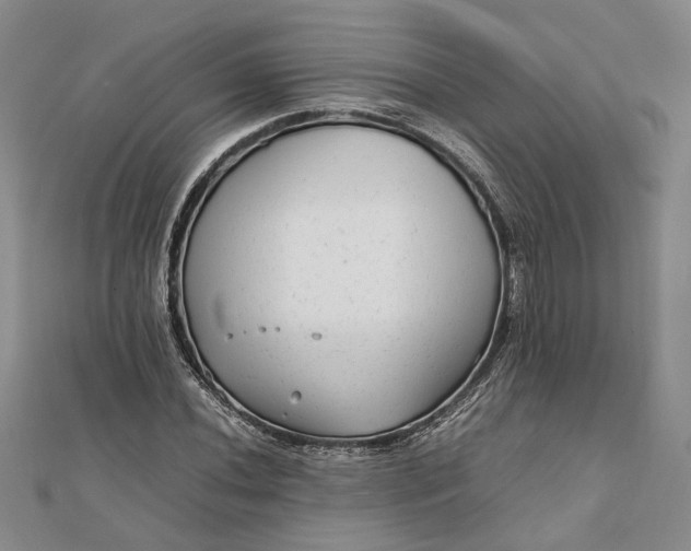 X0000111841020200908061249