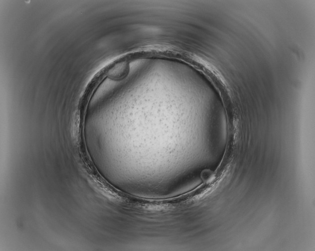 X0000111841021200908061249