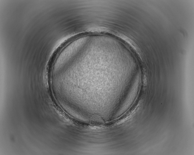 X0000111841022200908061249