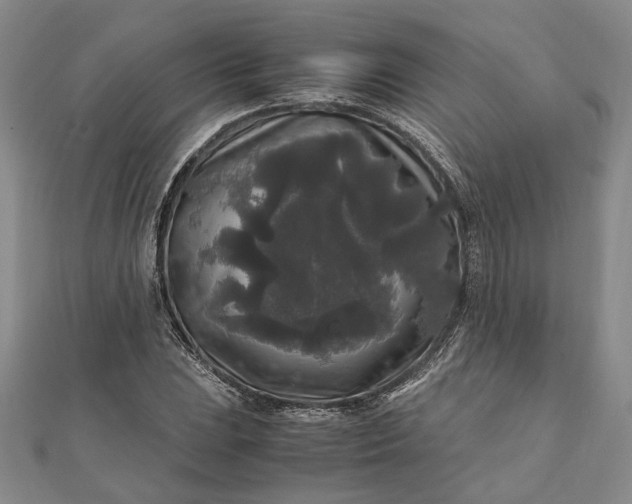 X0000111841023200908061249