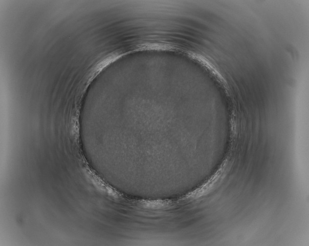 X0000111841025200908061249