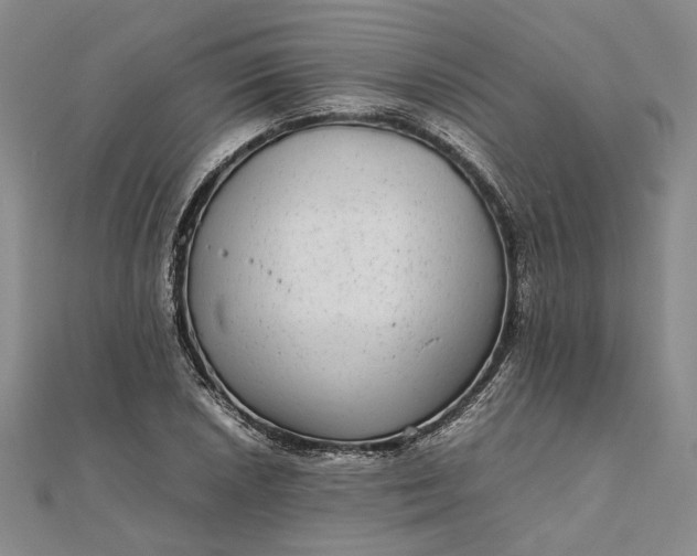 X0000111841026200908061249