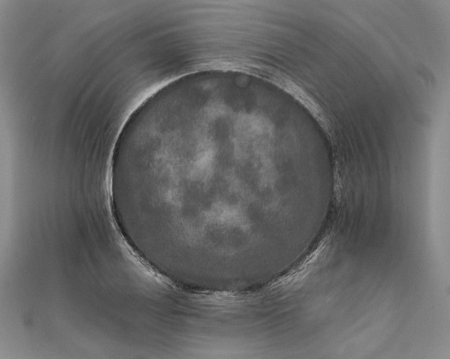 X0000111841028200908061249