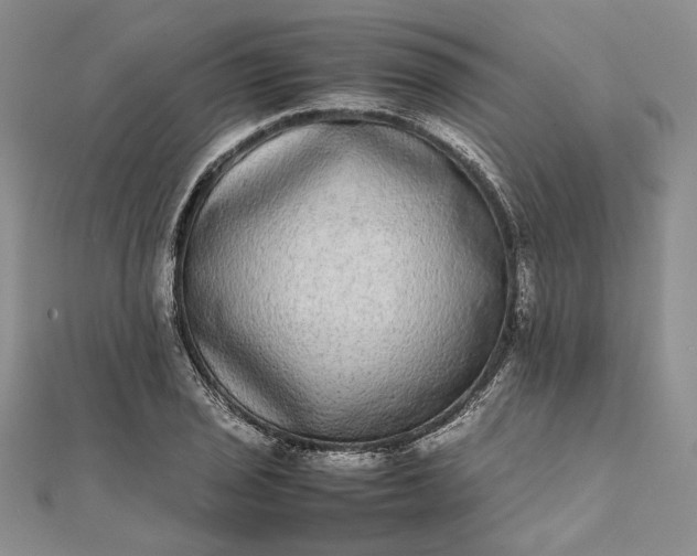 X0000111841029200908061249