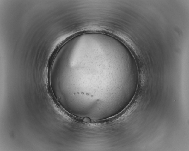 X0000111841030200908061249