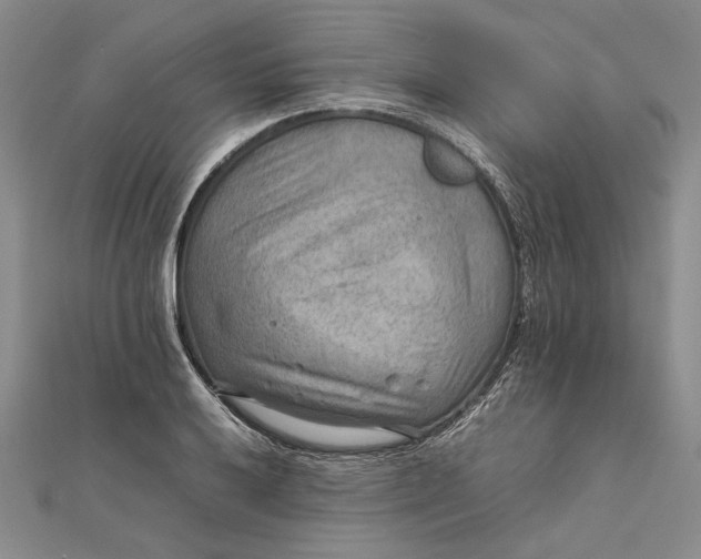 X0000111841032200908061249