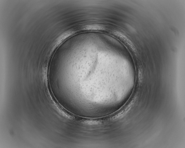 X0000111841033200908061249