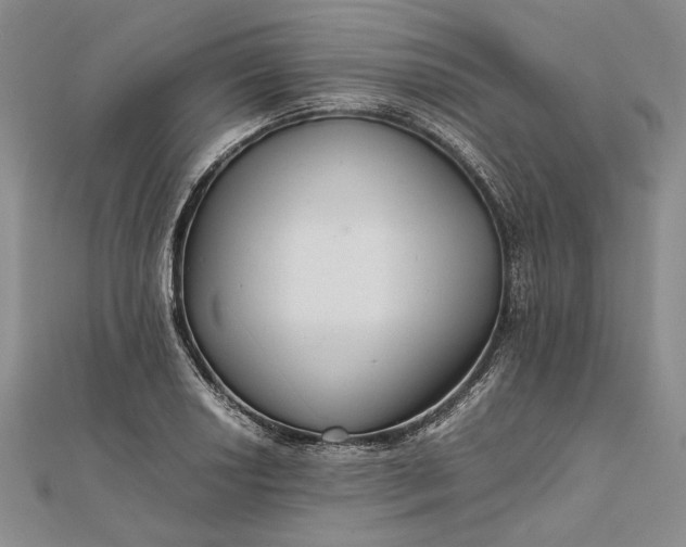 X0000111841034200908061249