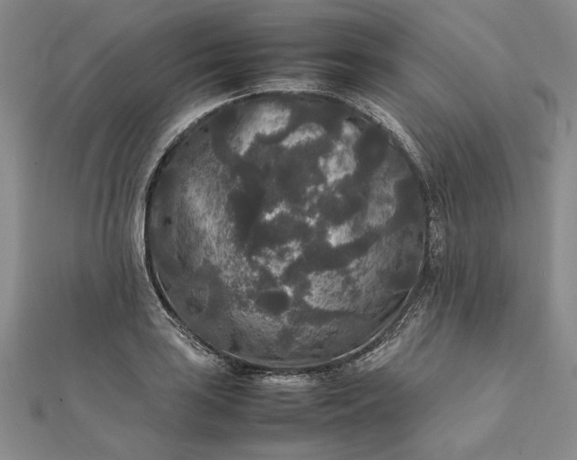 X0000111841035200908061249