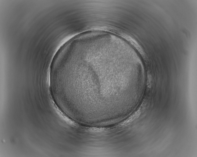 X0000111841036200908061249