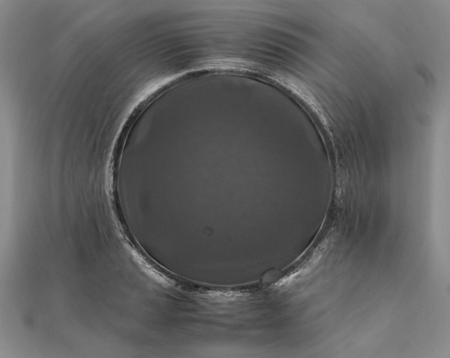 X0000111841037200908061249