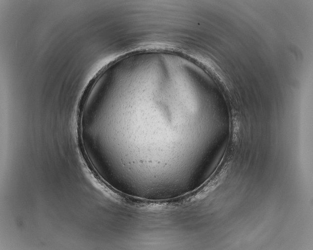 X0000111841038200908061249