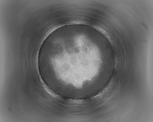 X0000111841039200908061249