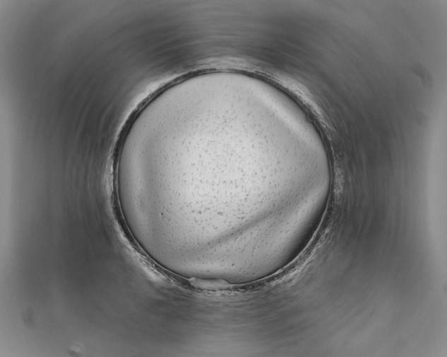 X0000111841040200908061249