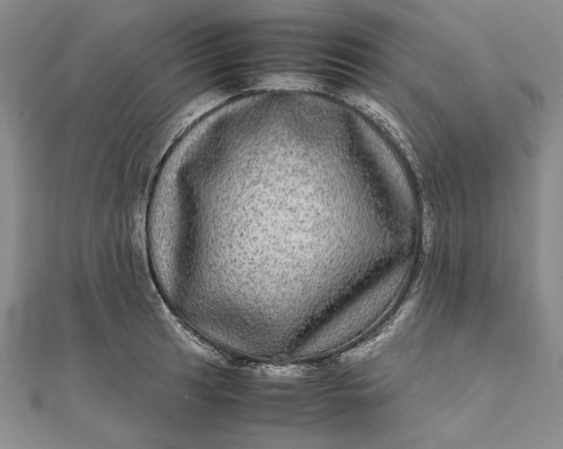 X0000111841041200908061249