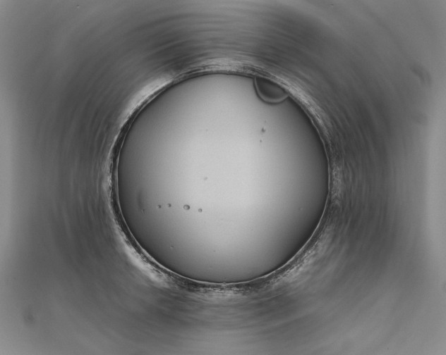 X0000111841042200908061249