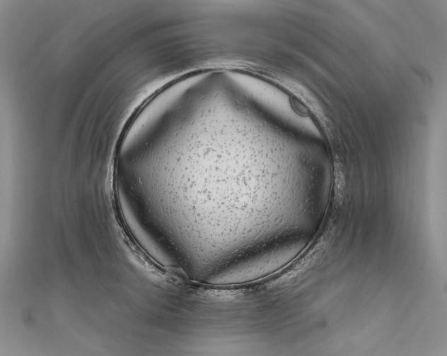 X0000111841044200908061249