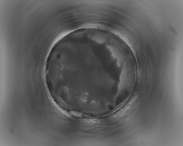 X0000111841045200908061249