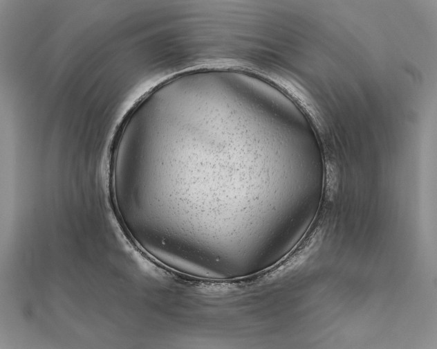 X0000111841046200908061249