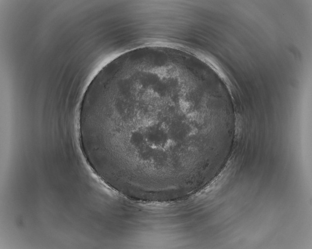 X0000111841048200908061250