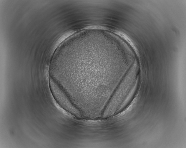 X0000111841049200908061250