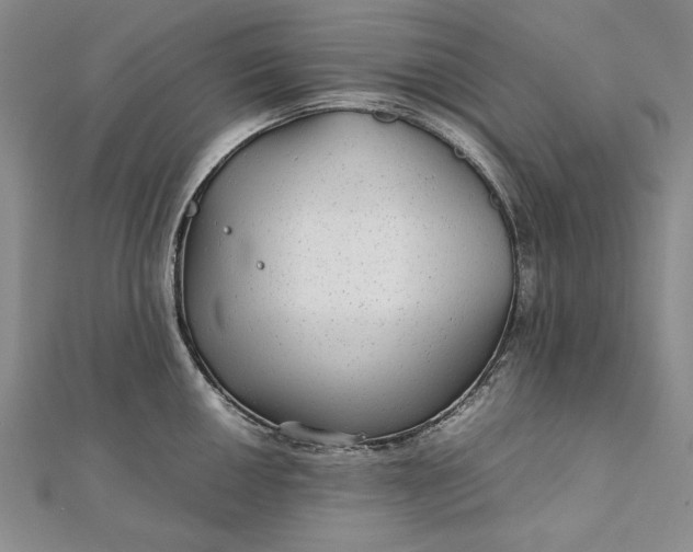 X0000111841050200908061250