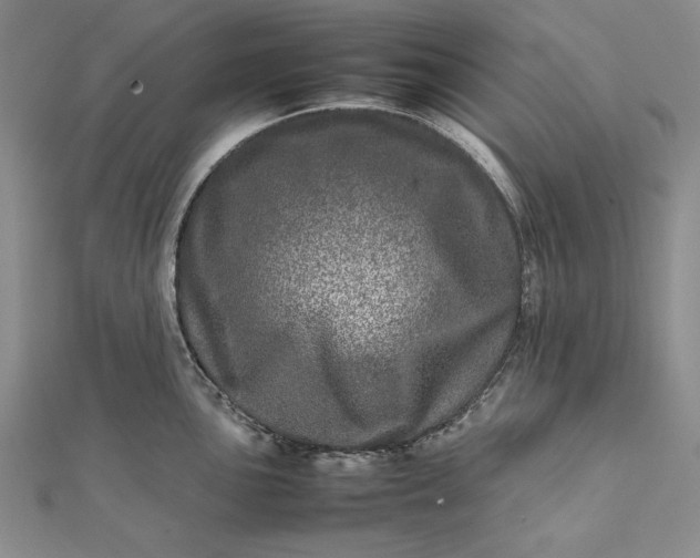 X0000111841051200908061250