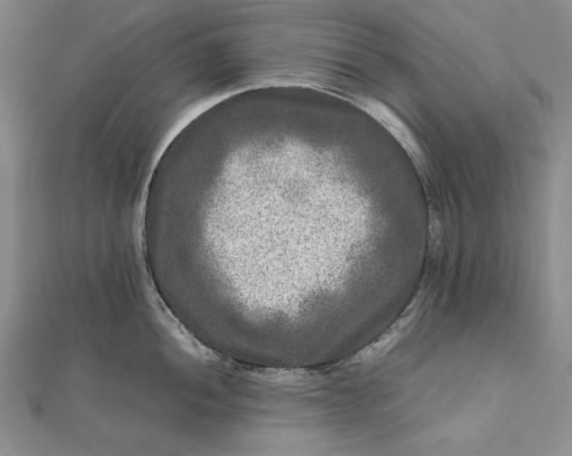 X0000111841052200908061250