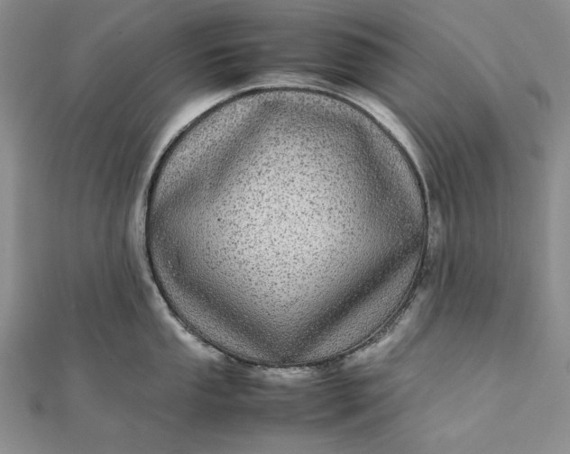 X0000111841053200908061250